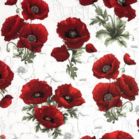 Worek szkolny na buty 237mak