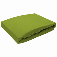 Prześcieradło bez gumki 160x220 Jersey Kaktusowe