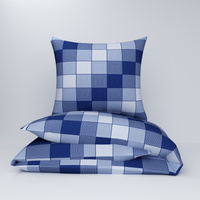 Pościel z kory 160x200 + poszewki na poduszkę 2*70x80 | 309N3D | niebieska | krata 3D