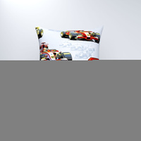 Pościel dla dziecka bawełniana 100x135 + poszewka na poduszkę 50x60 | 238sza | szara | auta formuła