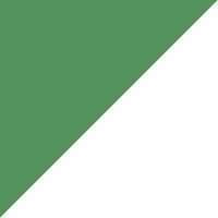 Apaszka bandamka bandana chustka | 00 kaktus | zielona | jednobarwna