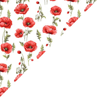 Apaszka bandamka bandana chustka | 126bia | biało czerwona | kwiaty maki