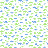 Worek szkolny na buty | 411Nni | biała | dinozaury